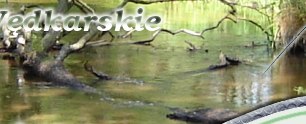 Sklep Wędkarski Pstrąg